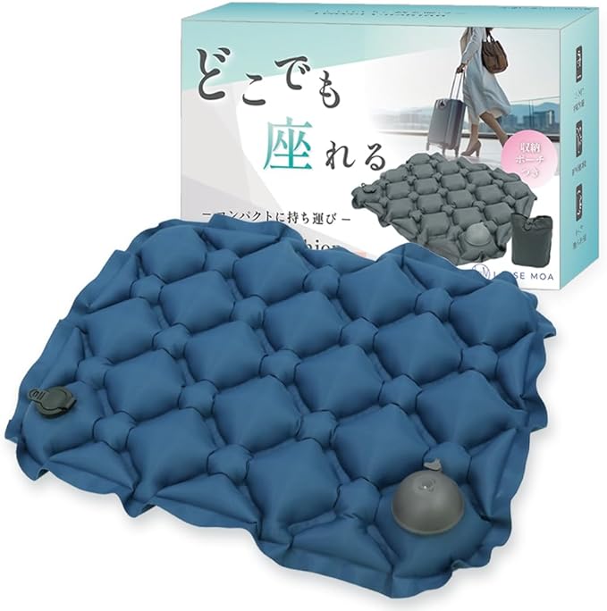 ポンプでも膨らむxるるぶ掲載】 レジャーシート クッション 厚手 お尻