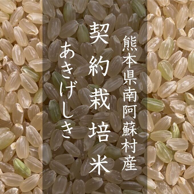 令和7年産・1等米】山口県美祢市産きぬむすめ｜白く艶やか・やわらか食