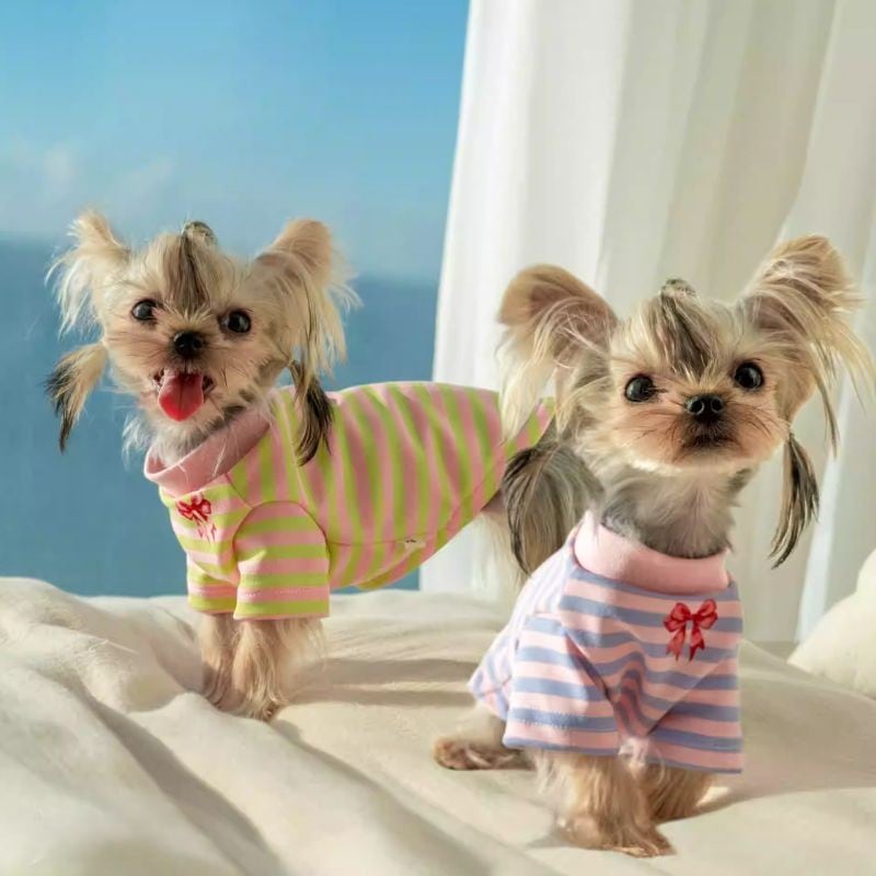 【海外ハンドメイド】プリントリボン付ボーダーカットソー 犬服 01068