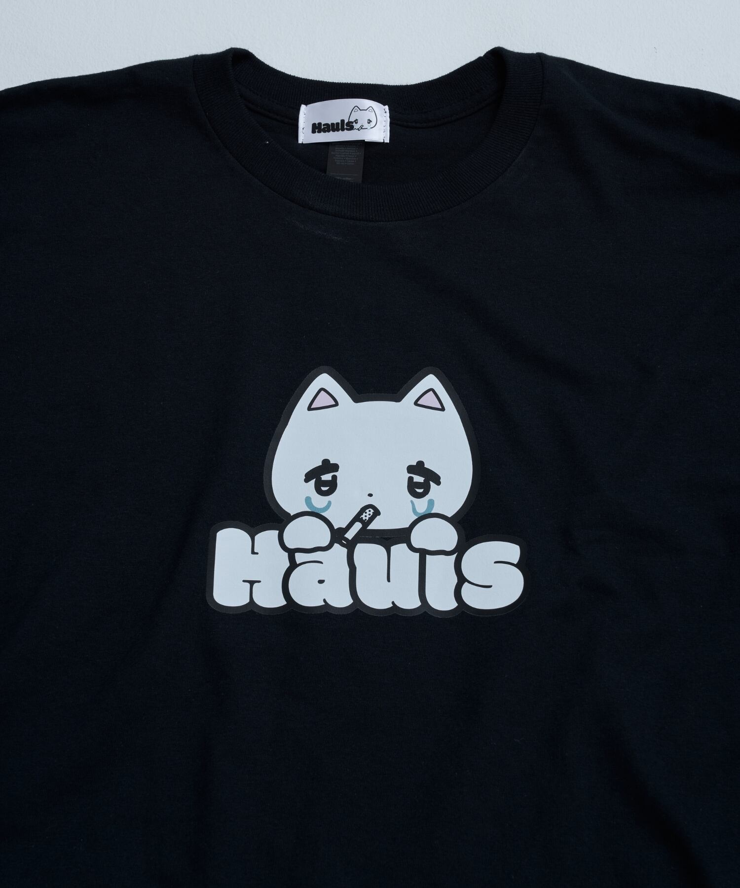 ドドーン！BIGロンTEE | Hauls