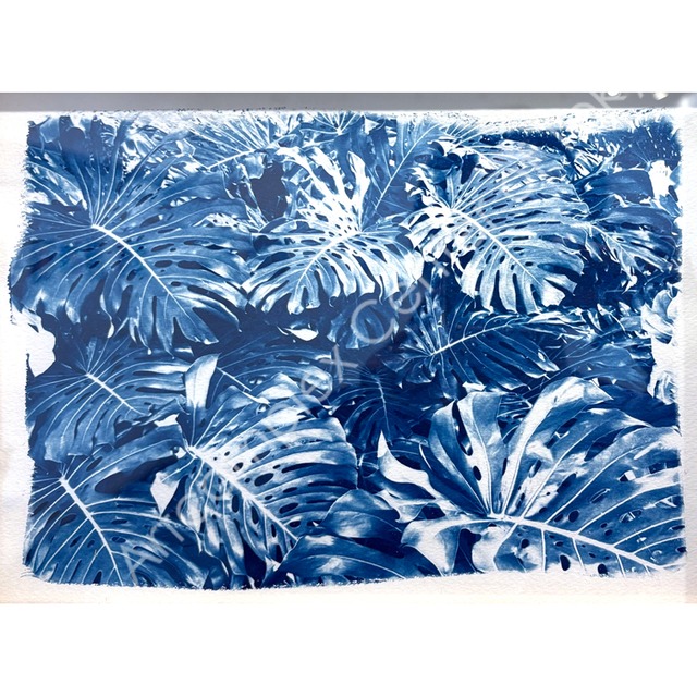 やましたみか「Paka」