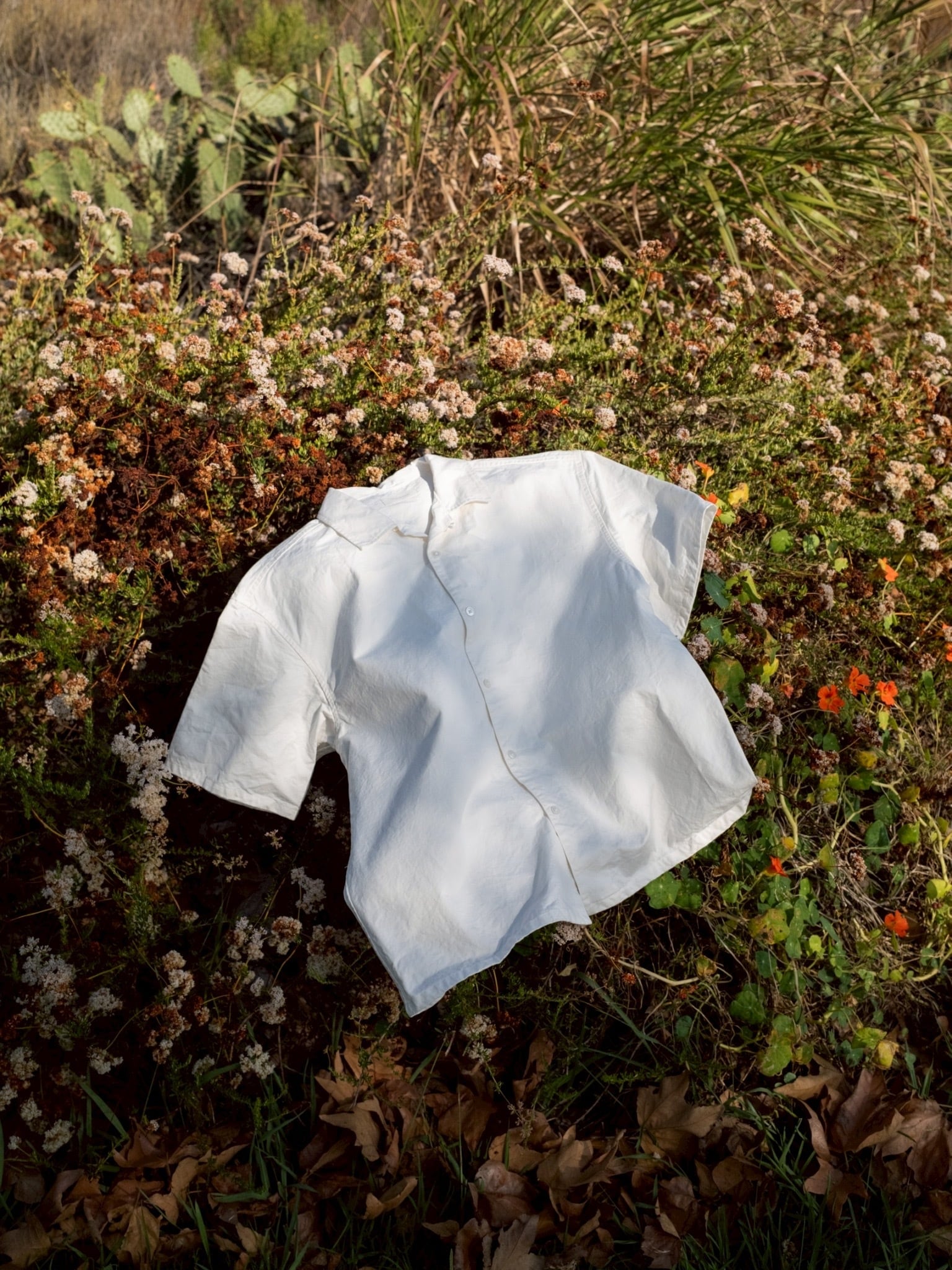 Sun Dried S/S Open Collar Shirts | Daydream
