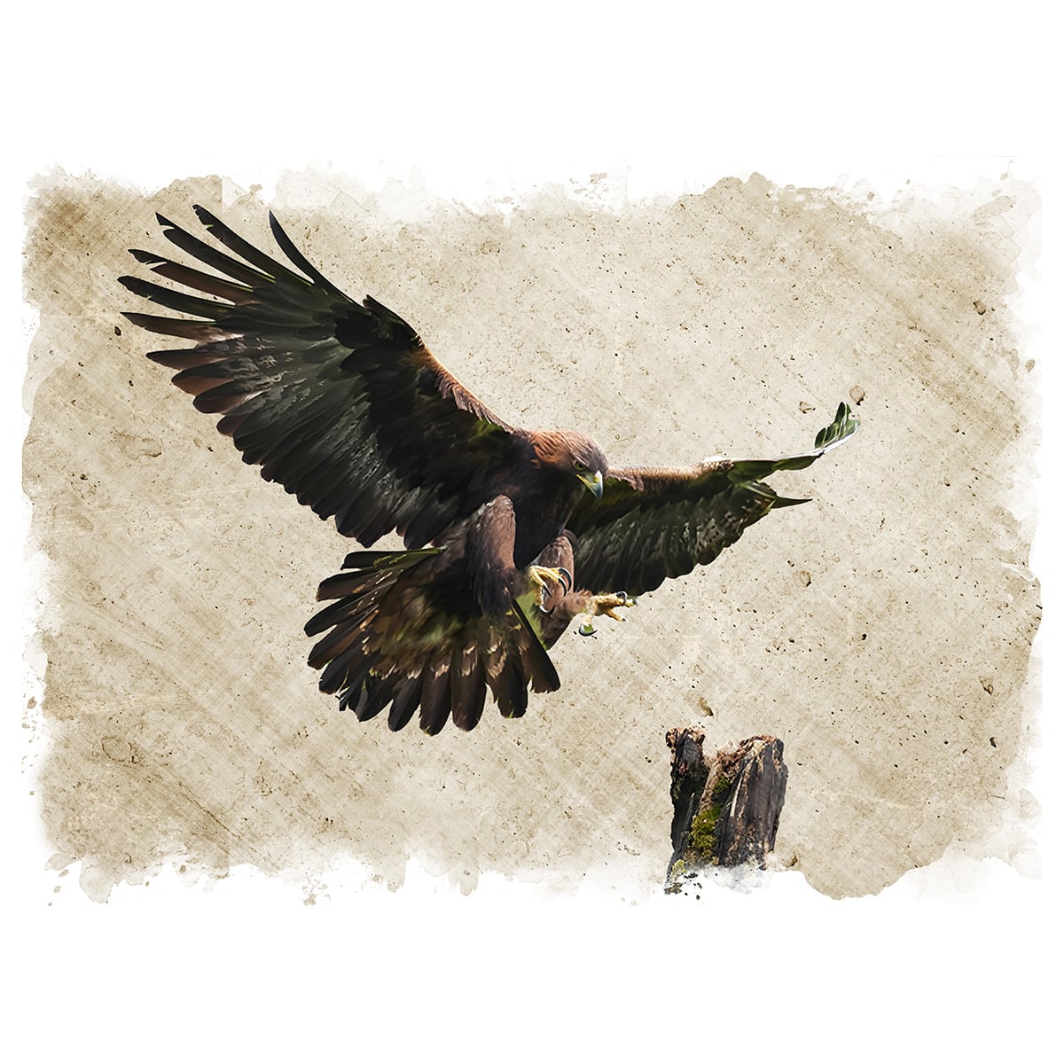 絵画 動物 鳥 イヌワシ インテリアアート額付き 水彩画・油絵風