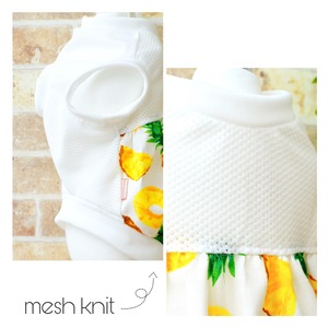 ジューシーパイナップル