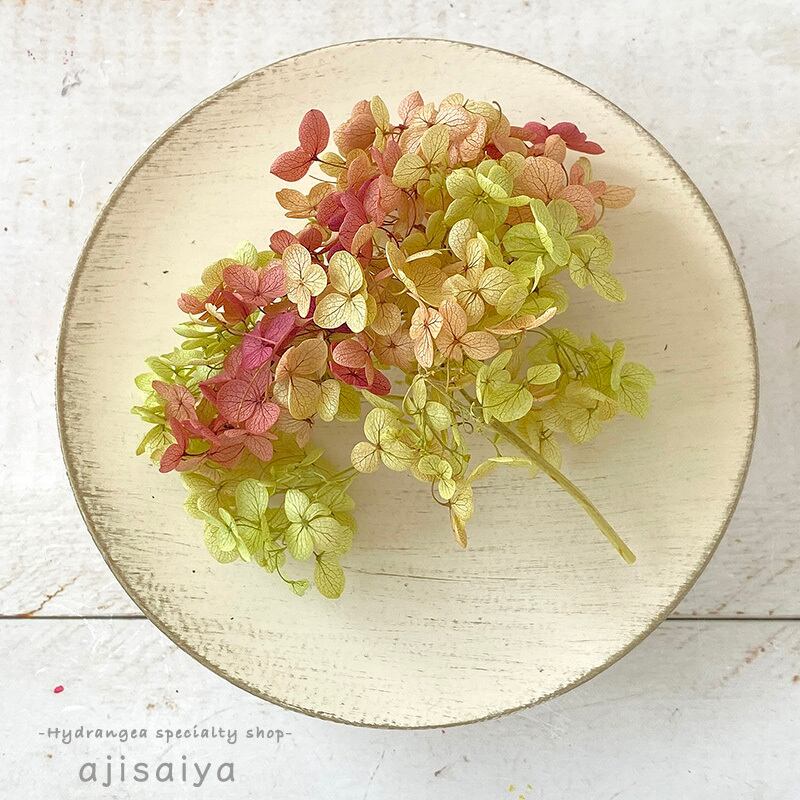 枝付きアナベル グリーン ボルドー プリザーブドフラワー アジサイ 紫陽花 自然素材こわけ専門店 あじさいや