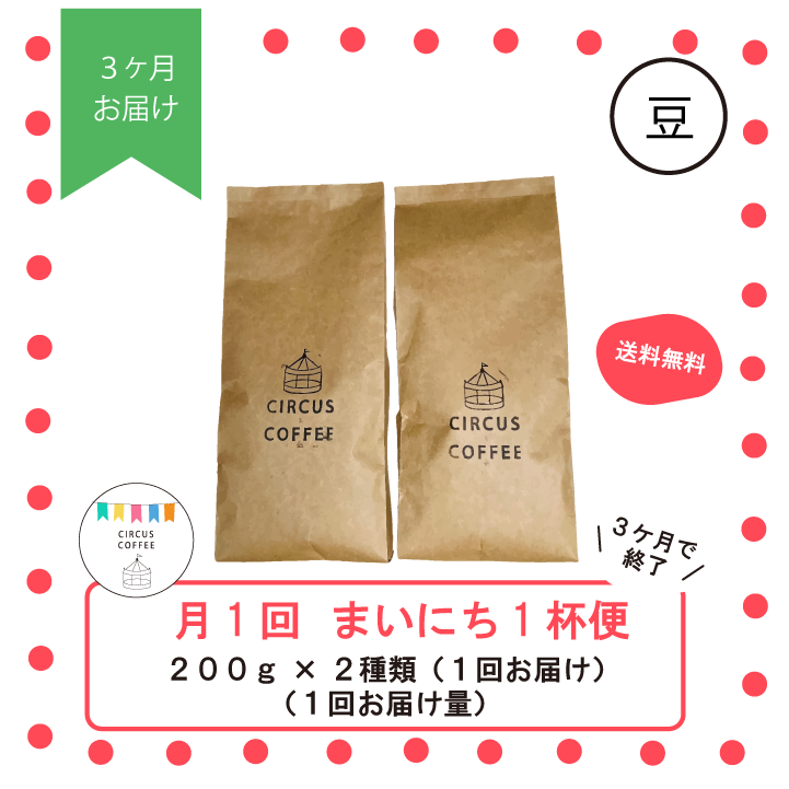 【豆のまま】月１回届く『まいにち１杯便』（全３回）定期便お試し３ヶ月分