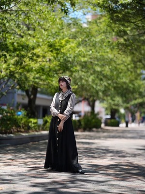 no sleeve tyrolean dress