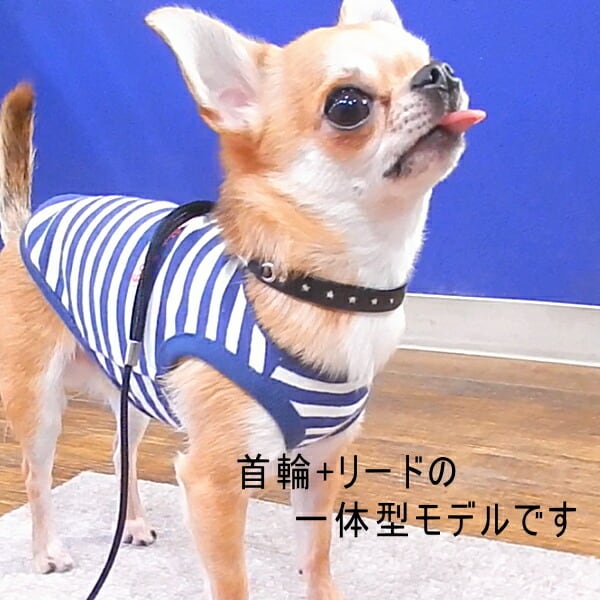 犬 首輪 リード セット スキップドッグ スターライン プチインリード