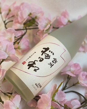 越州   桜日和　720ml