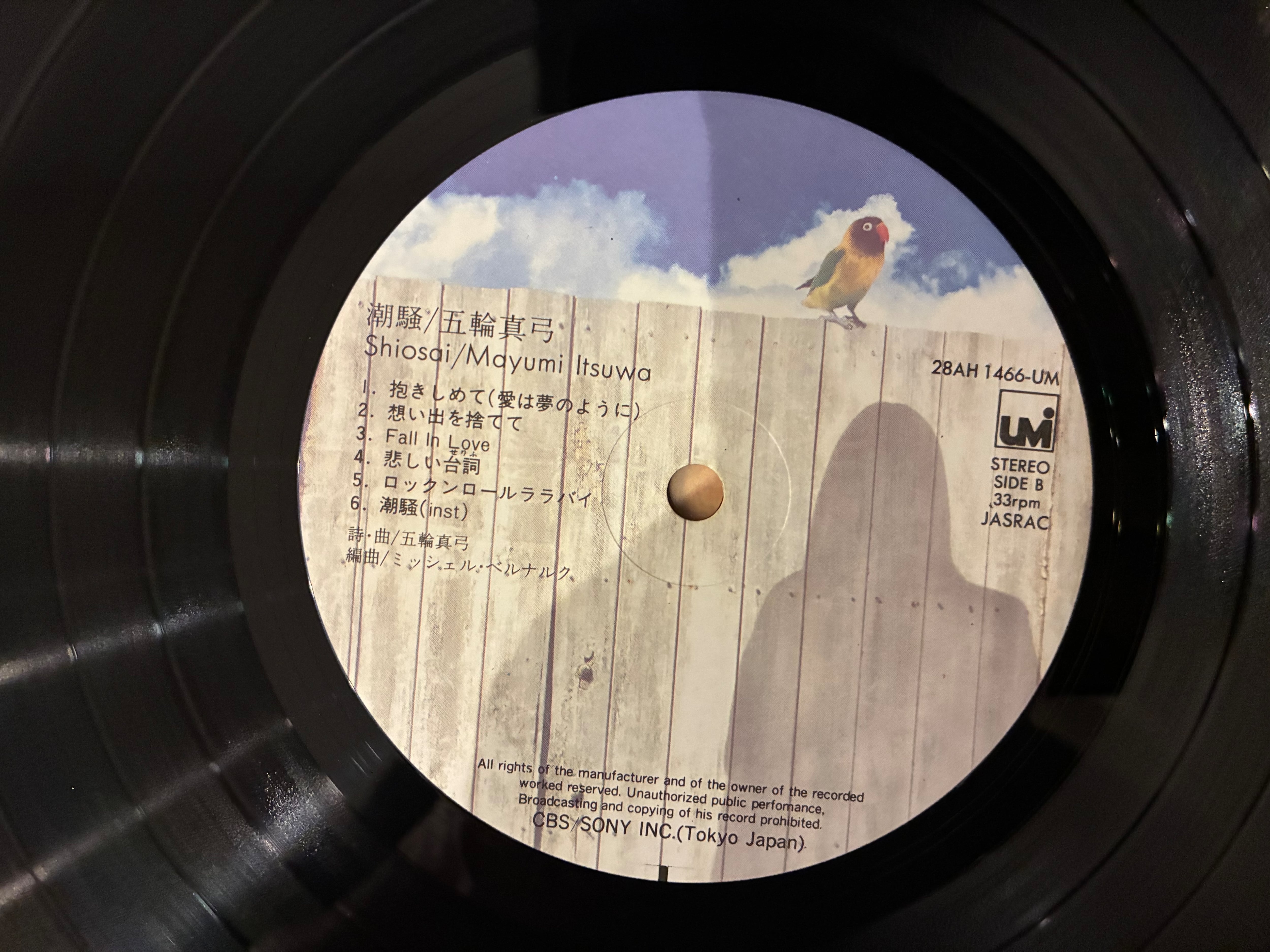 五輪真弓 / 潮騒 | sixteen records (シックスティーンレコード)