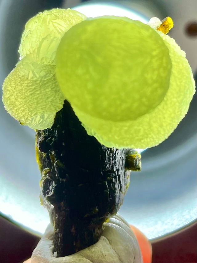 6) 愛・平和・癒しの心「マリ産プレナイト」AAAAA