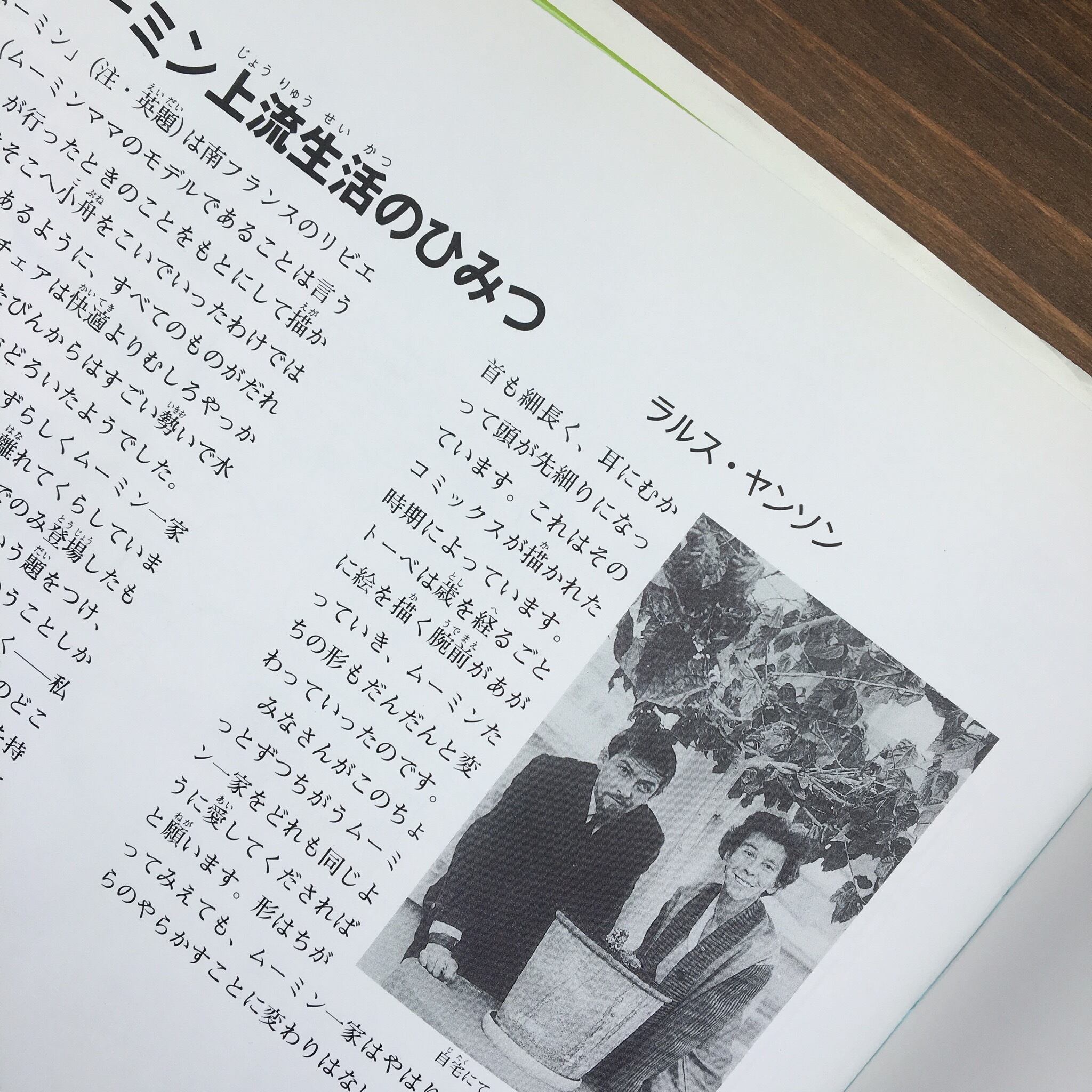 ムーミン南の海へ行く～ムーミンの冒険日記～