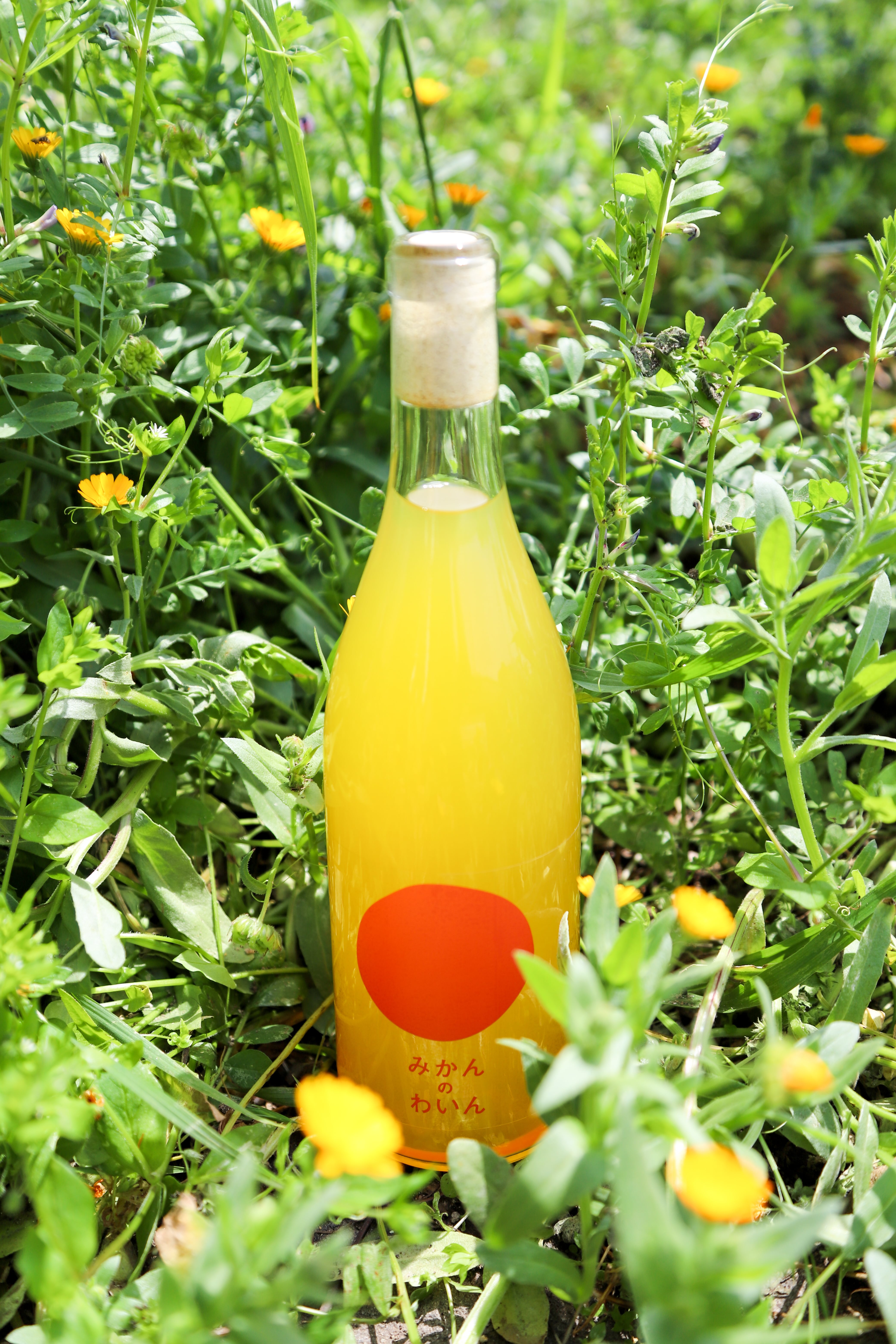 化学農薬不使用】小豆島100％ みかんのわいん 750ml | 文次郎農園