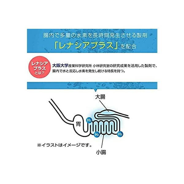 RENATUS 健康サポートサプリメント 30粒 レナトス レナトス プロ