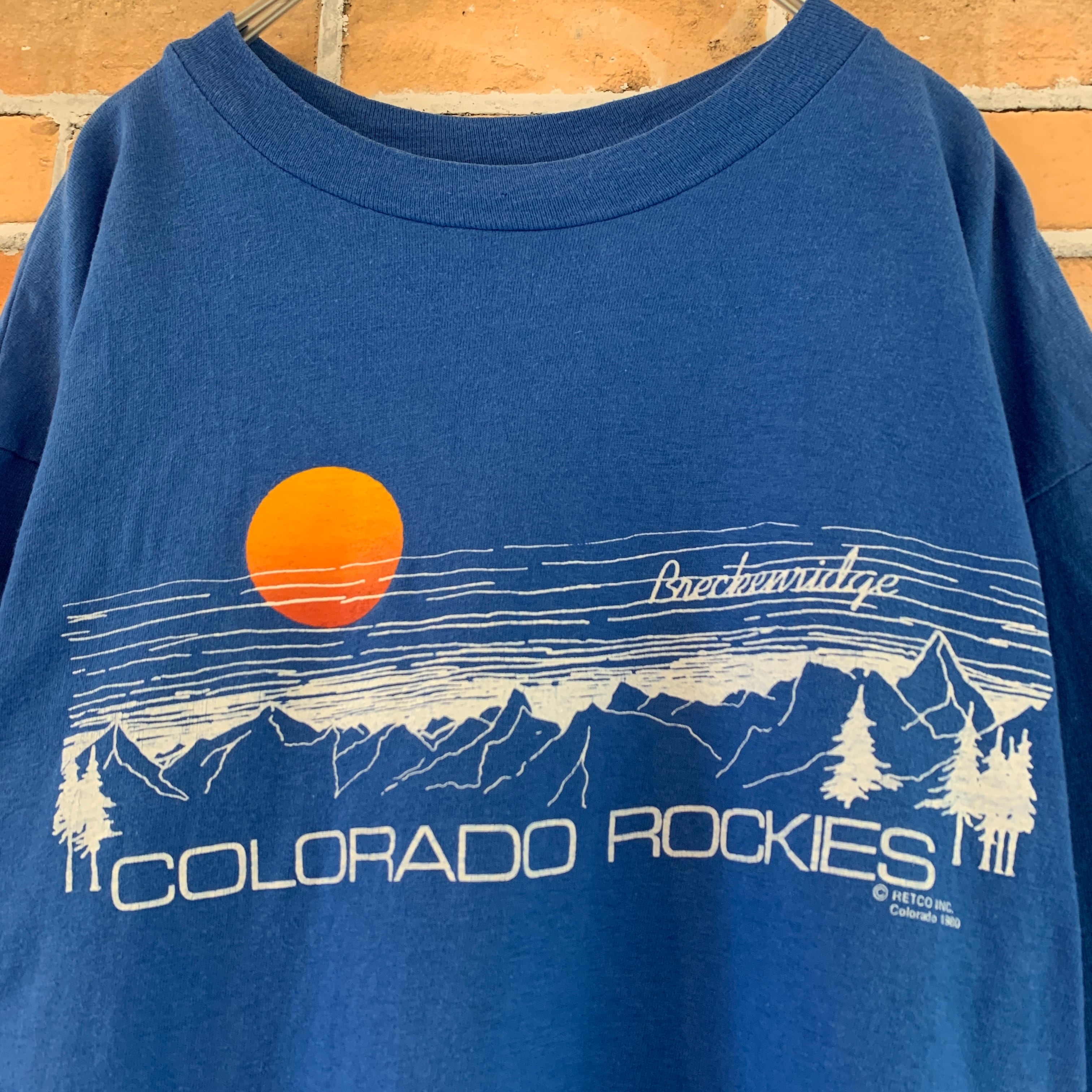 HANSE】80s ビンテージ Tシャツ ロッキー山脈 USA製 アメリカ古着