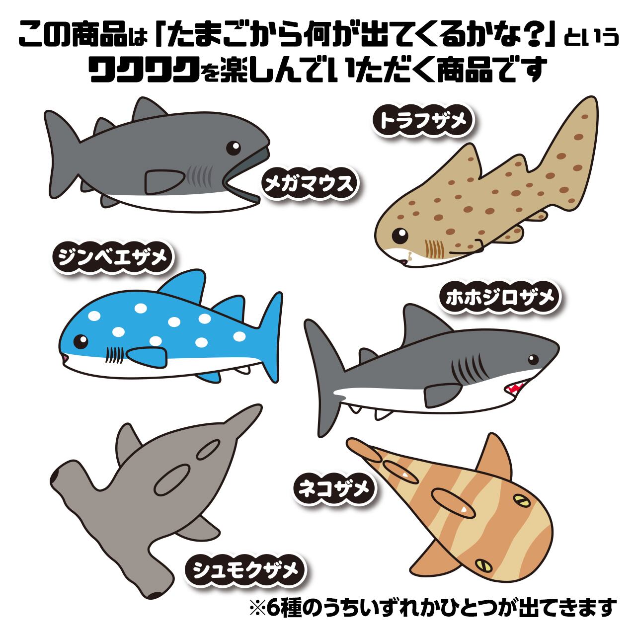 生まれるたまごシリーズ 鮫のたまご さめ玉 ザ アクセス Base店