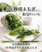 自宅でよもぎ蒸し【スタートキット】フルセット