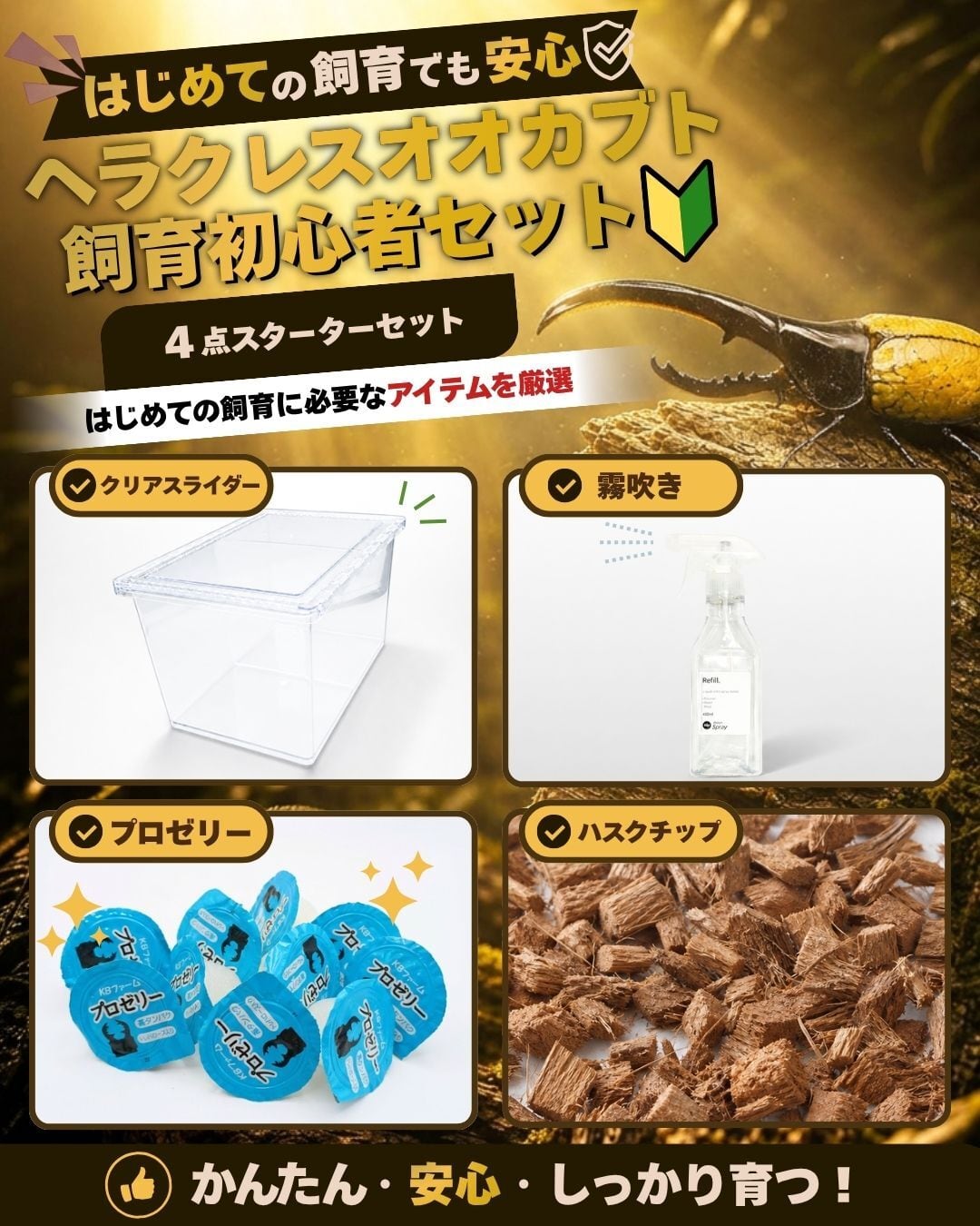 ヘラクラスオオカブトプレミアム飼育初心者セット（成虫用