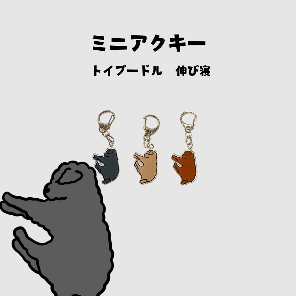 トイプードル 伸び寝 アクキー | sunsundog
