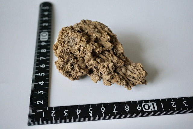 トゥファ Tufa 1163