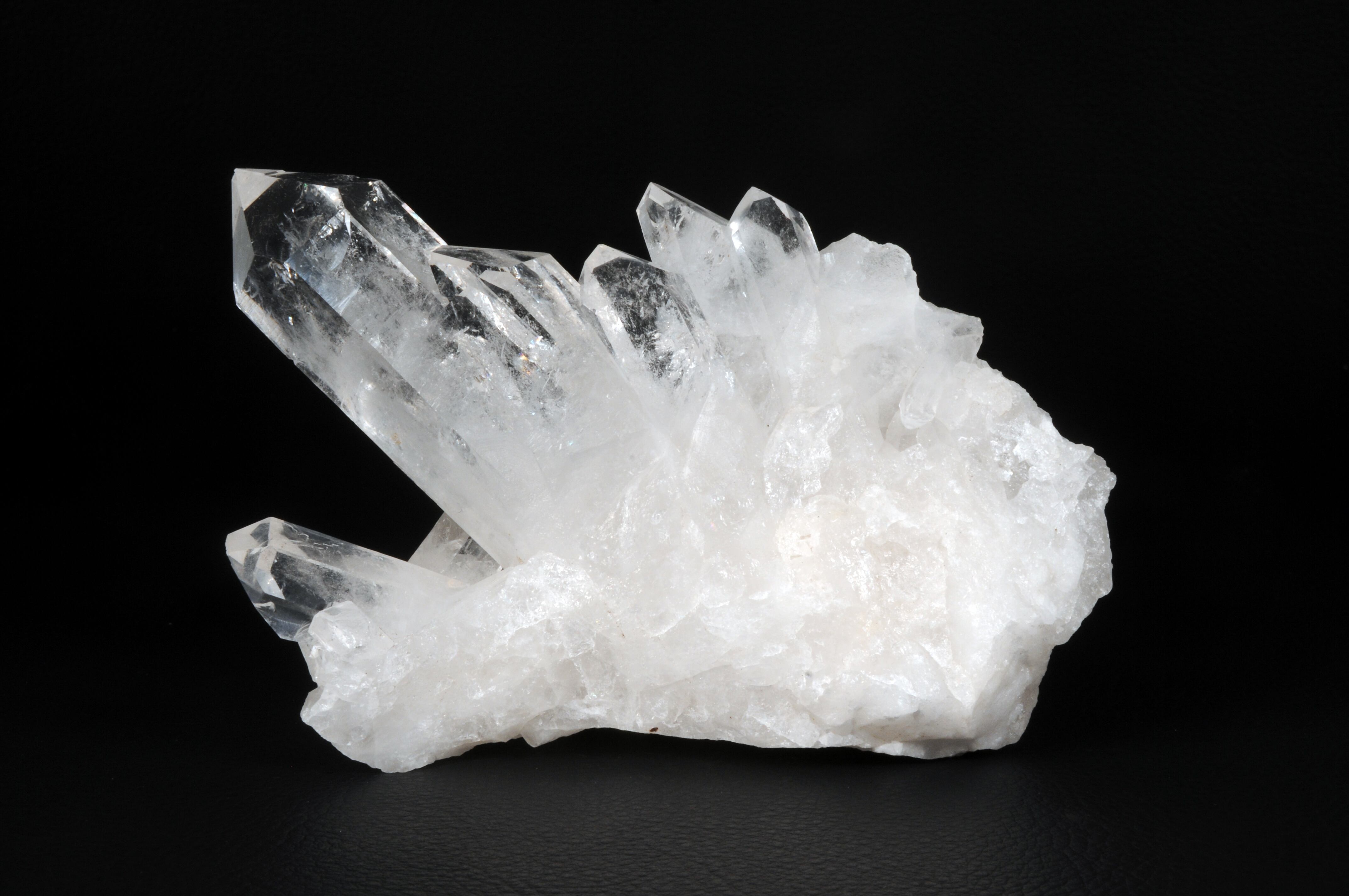 ムーンストーン 龍亀 ロングイ | Pay ID