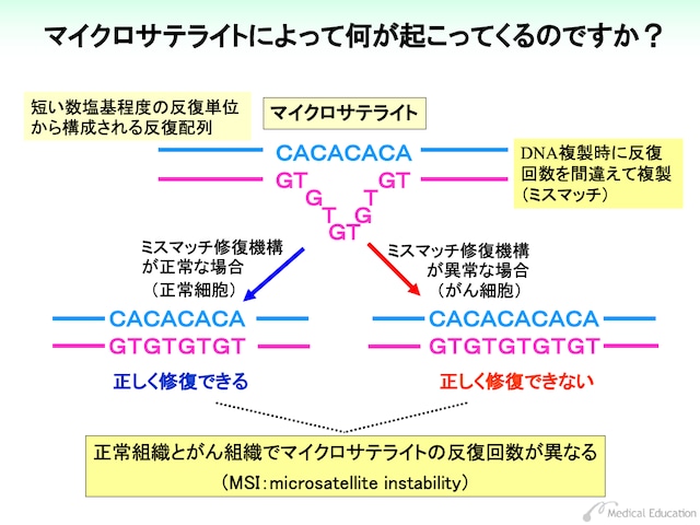 がん遺伝子検査入門