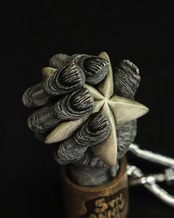 [数量限定] "5th Anniv" SUPER BIG KEYHOLDER - serial.11 /Black ink wash