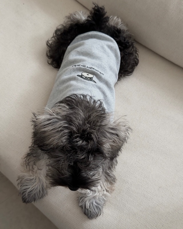 neko dog Tshirts / S&P,B&S