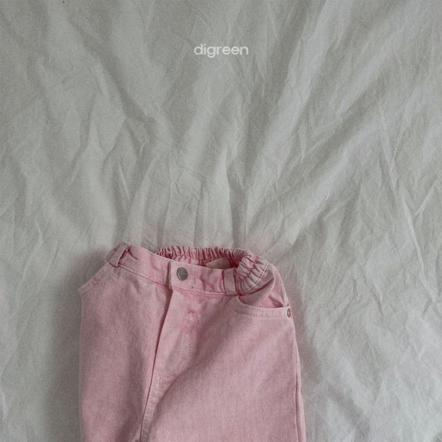 【即納】digreen  Pigment dyeing pants dig_b_1