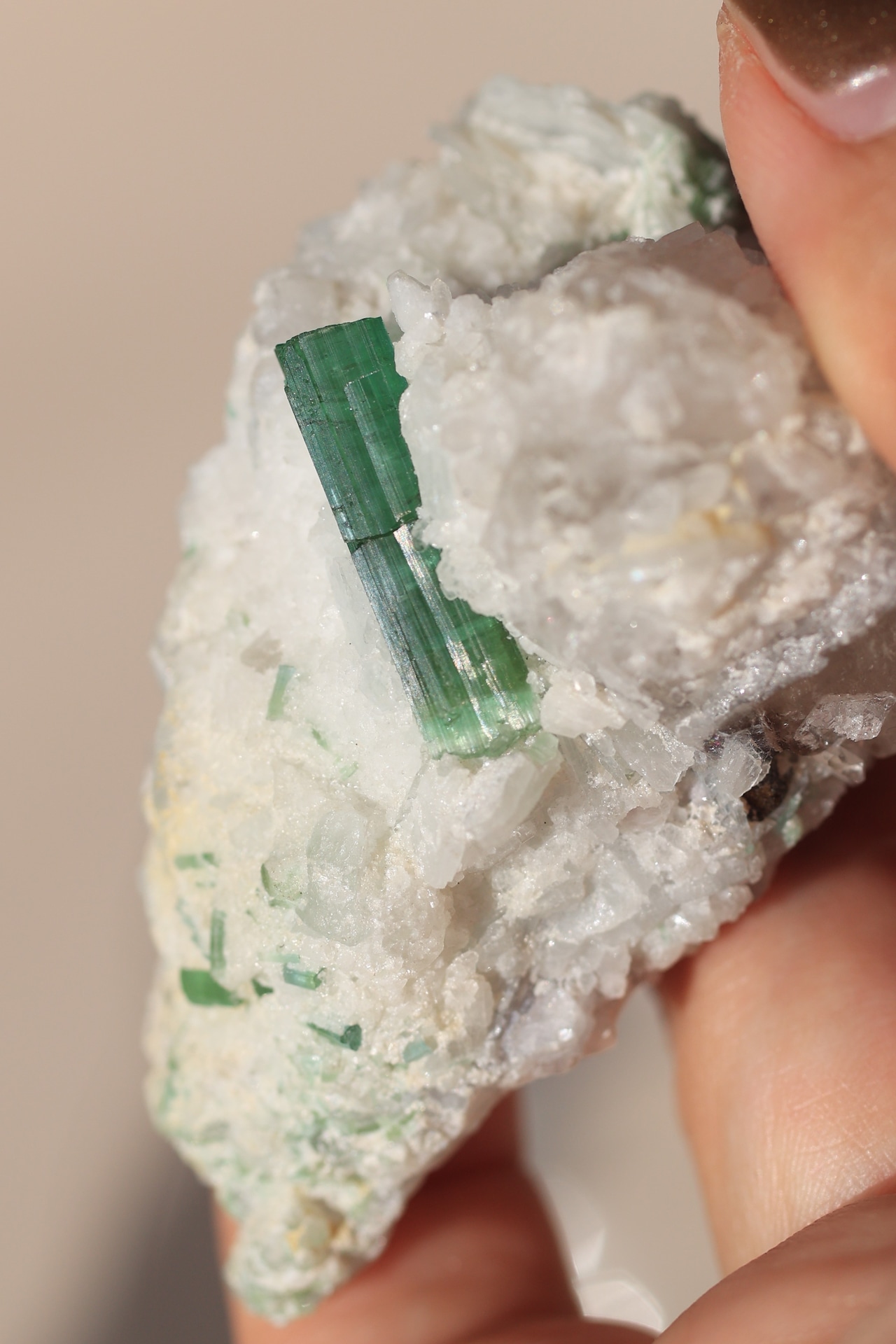 トルマリン「森の癒し」Tourmaline | 天然石 原石 鉱物 パワーストーン | TM-A-006