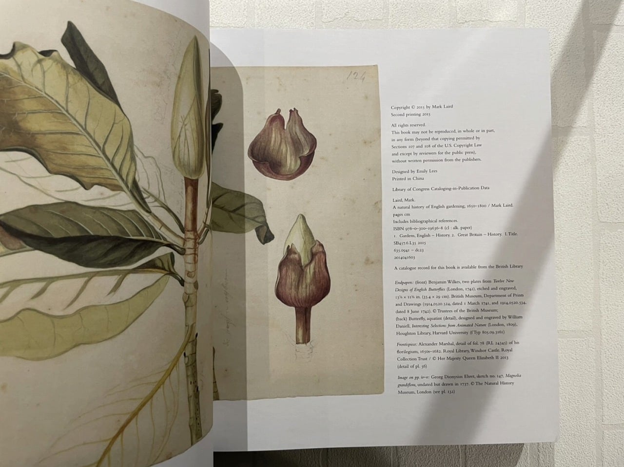 VW084】A Natural History of English Gardening: 1650–1800 /visual