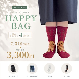 2026 summer 福袋 4点セット 【7,370円相当】ande アンデ (レディース 女性 靴下 柄 北欧 雑貨 かわいい おしゃれ オシャレ ブランド 正月 新春 お楽しみ袋 セット アソート 福袋 チャーム ポーチ ハンカチ)
