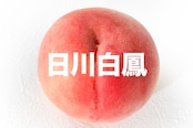 【白鳳種】日川白鳳【約2kg(5〜7玉)6月下旬〜7月上旬】