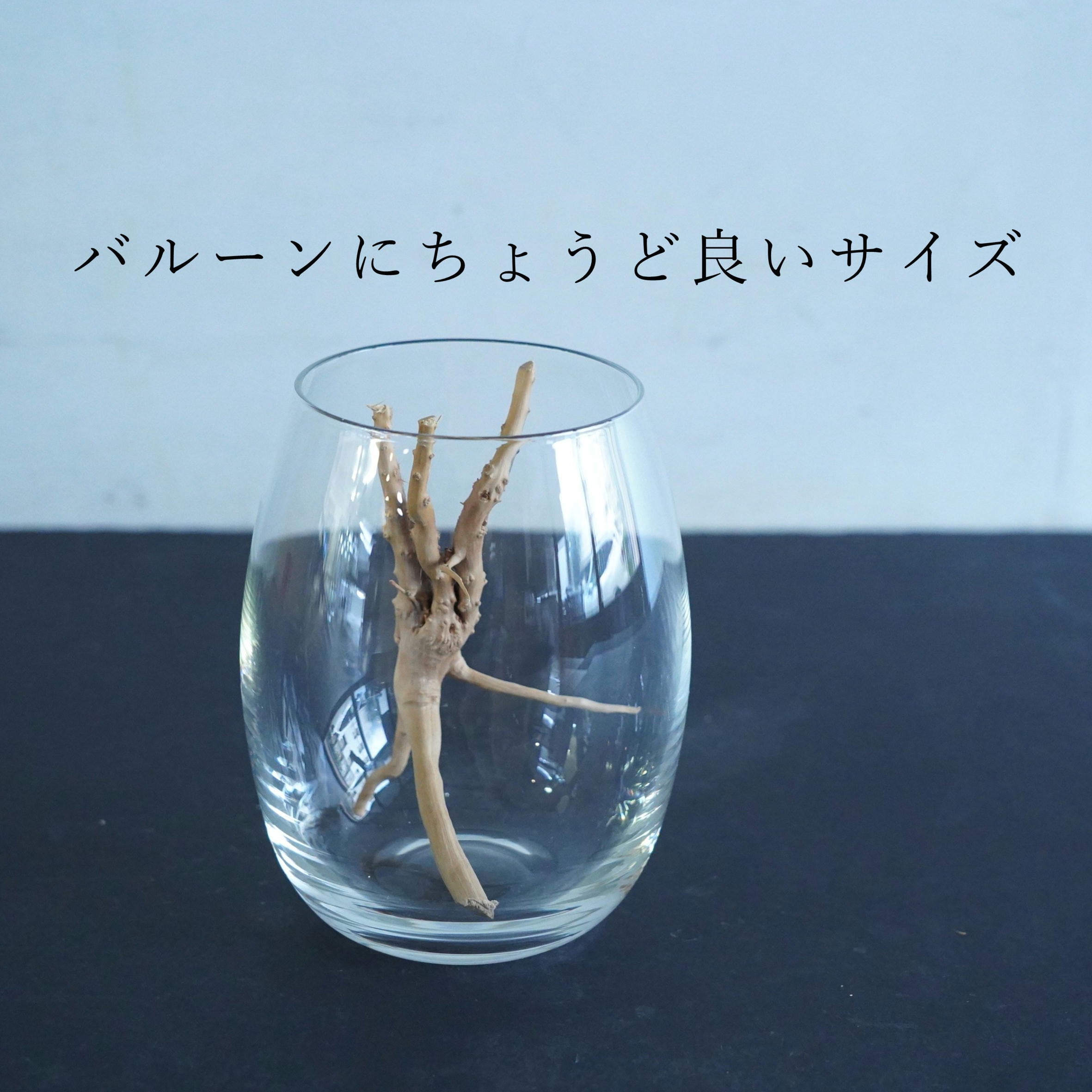 テラリウム用流木ナチュラルブランチ【SSサイズ3個入り】◇形状