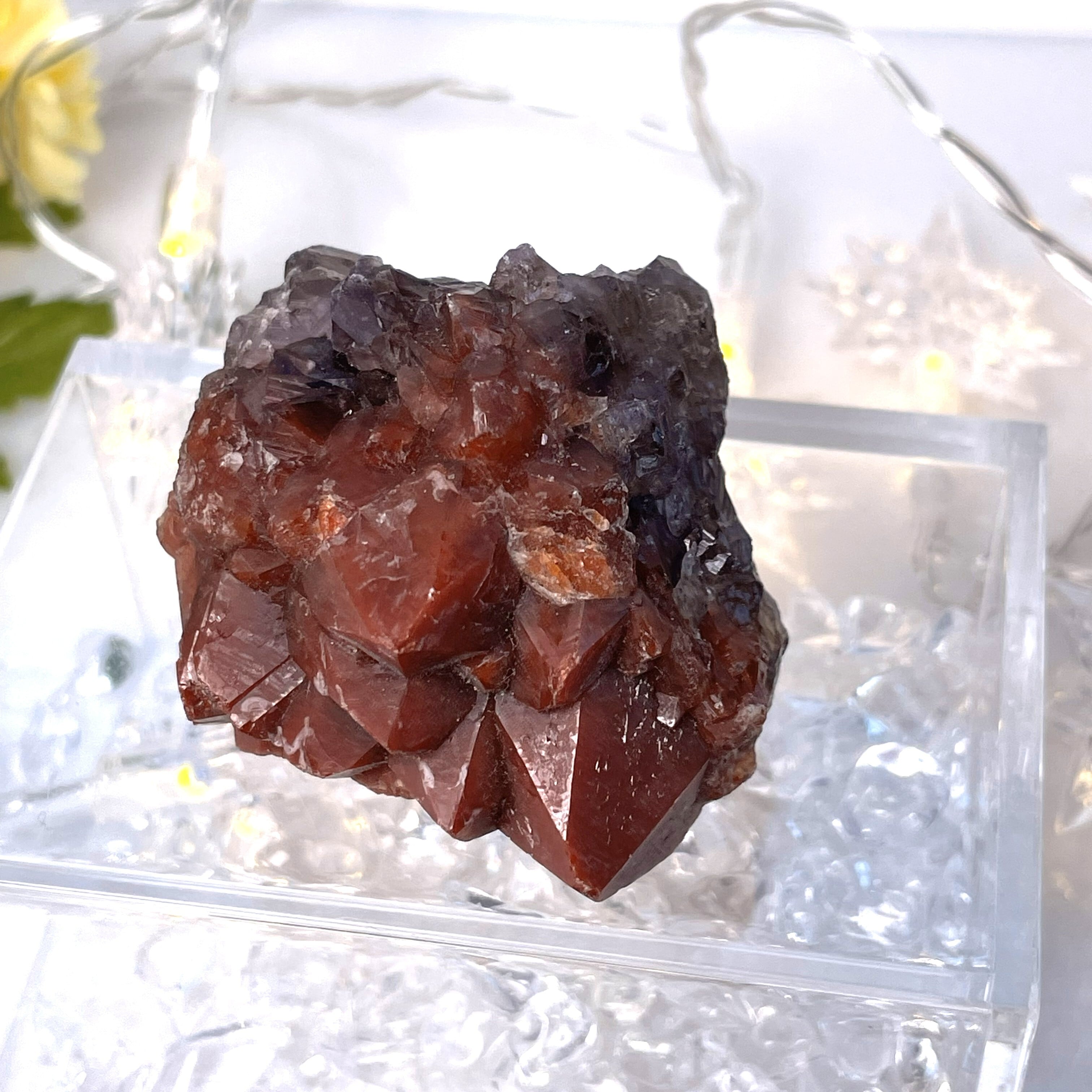 【陰陽を統合し、現実を一気に動かす変容の結晶】 アメトリン・レッドキャップス クラスター G4_1