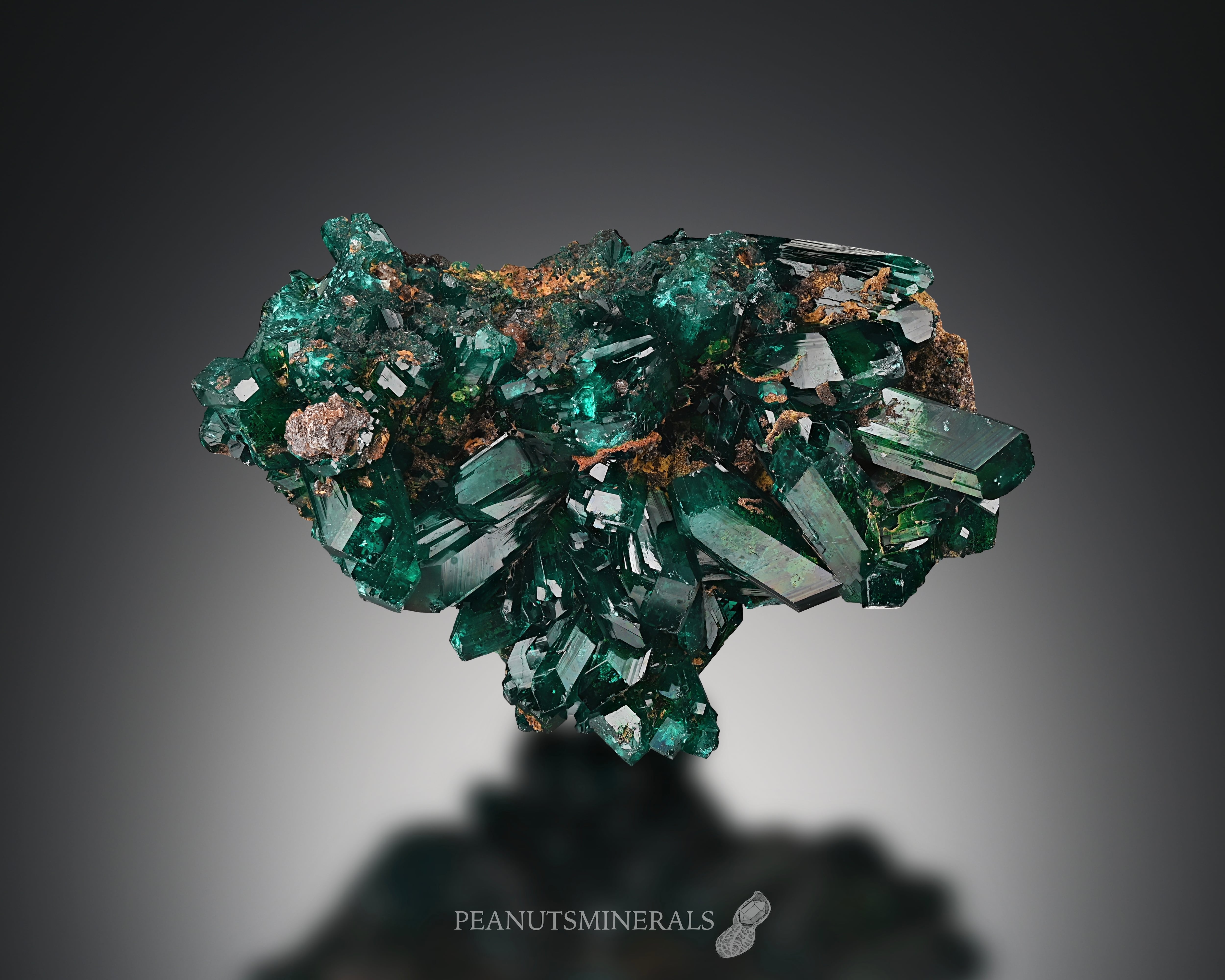 ダイオプテーズ【Dioptase】コンゴ共和国産 | PEANUTS MINERALS