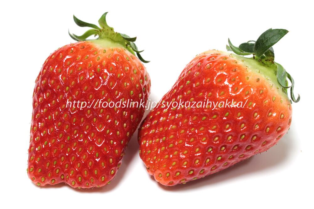 アイベリー（いちご）ichigo-Aiberry05(5184-3456) | 旬の食材百科