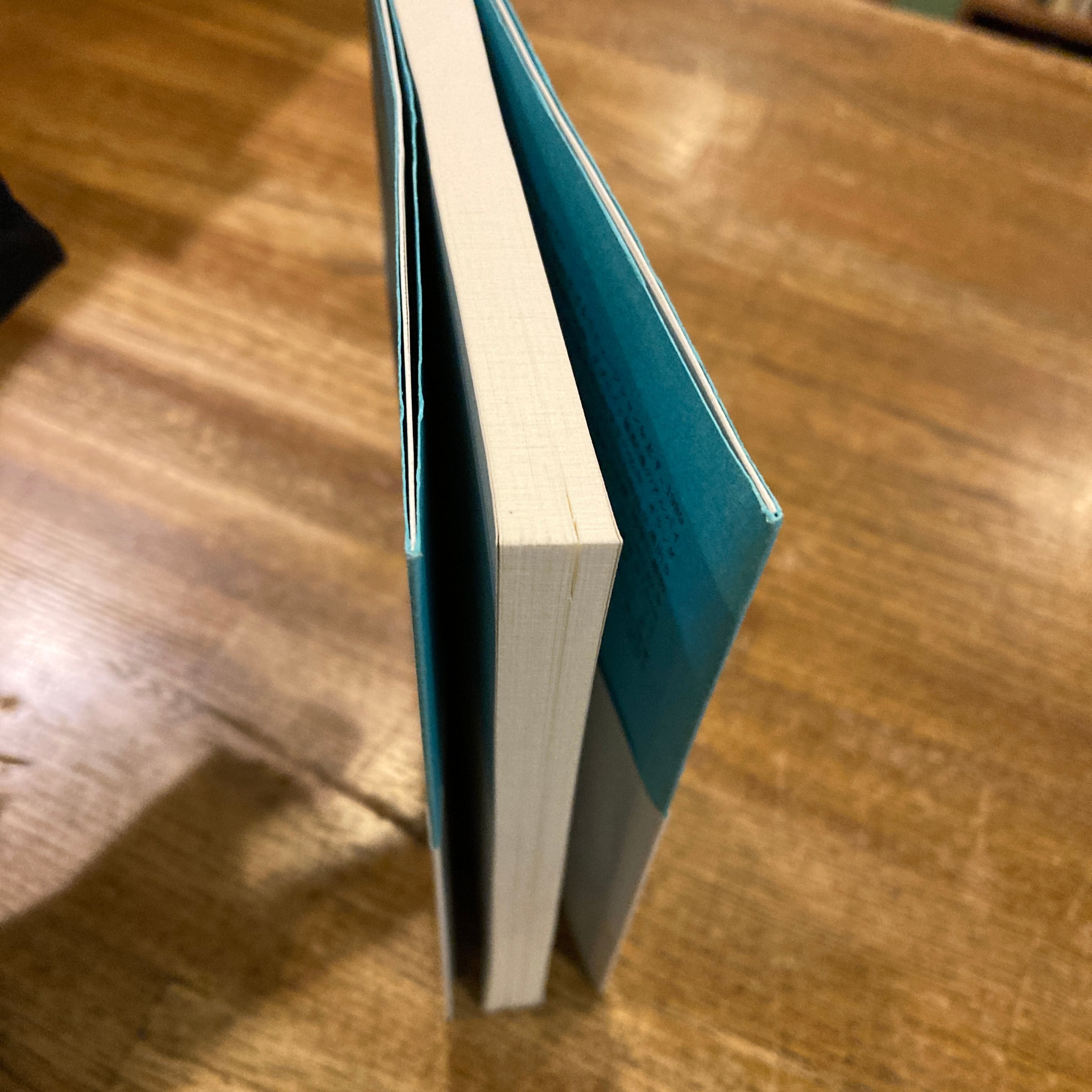 漸進快楽写真家 /金村修 | 百年