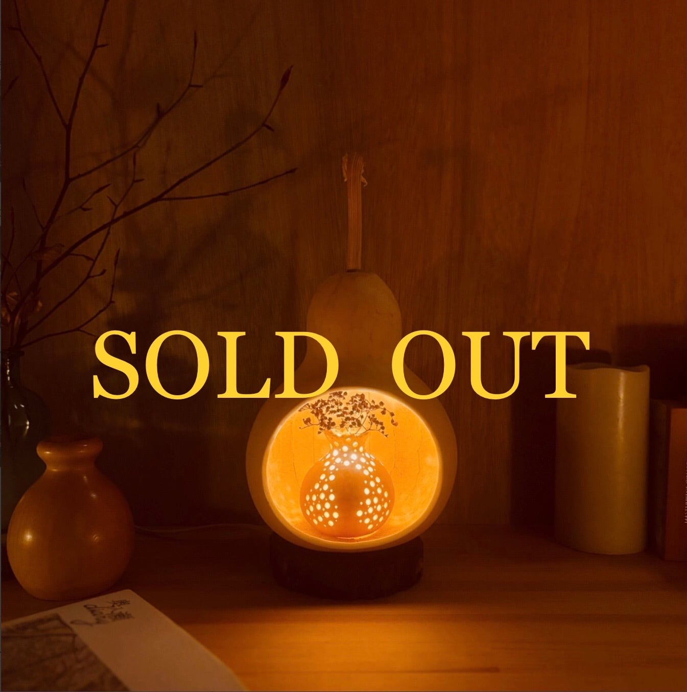 ひょうたんドーム D–17