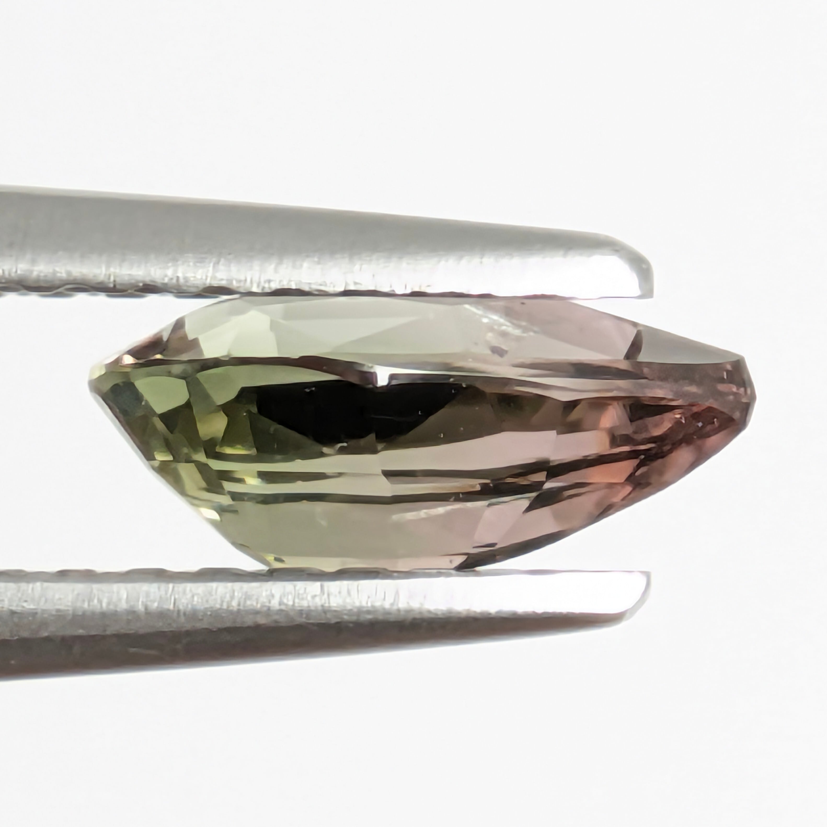 バイカラートルマリンルース【0.81ct】 PRO208674 | Gem's Subculture