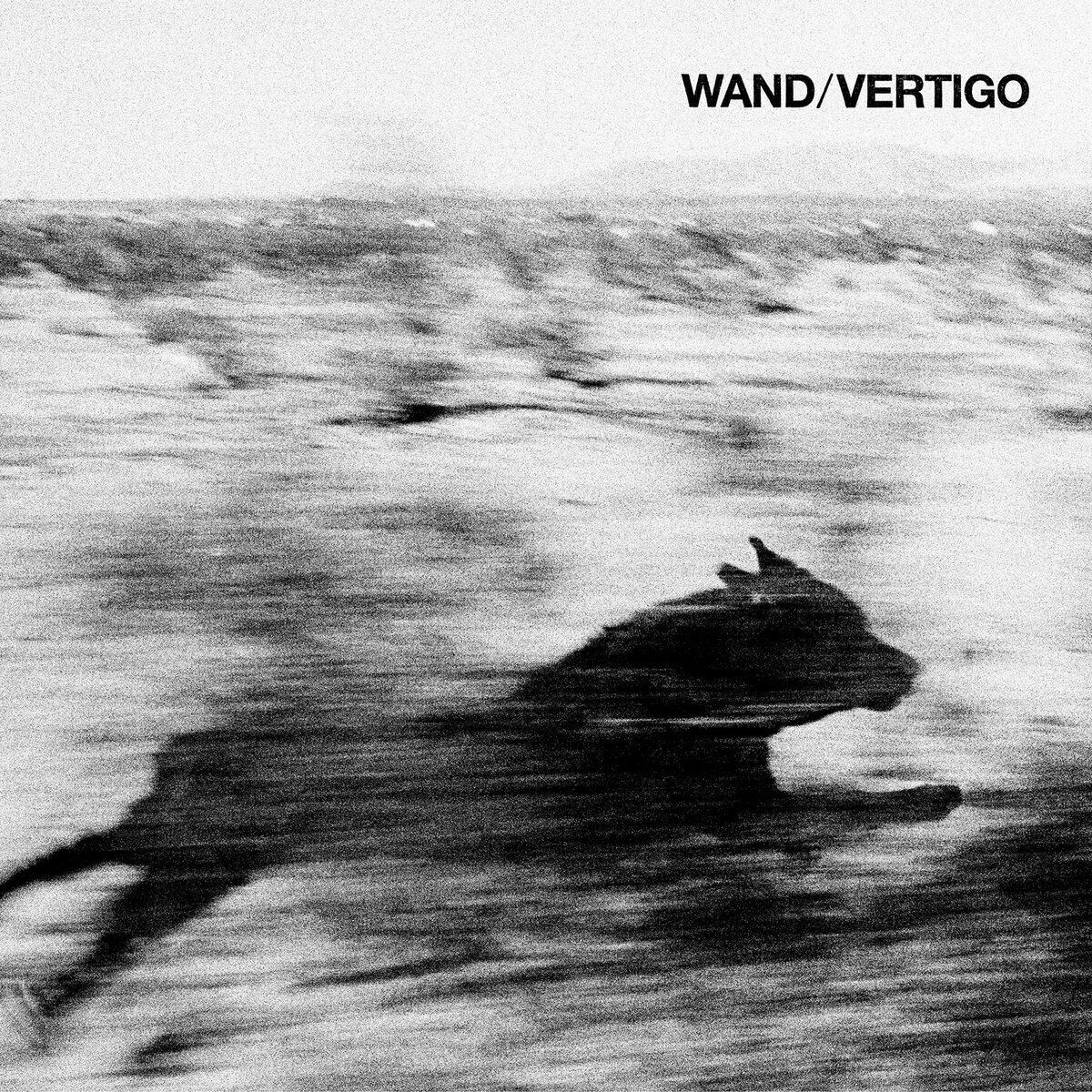 Wand / Vertigo（LP）