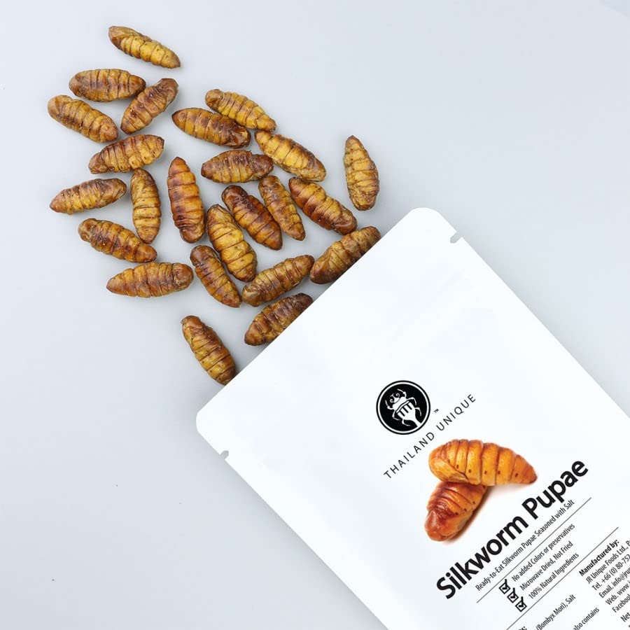 食用 安全 昆虫食 シルクワーム silkworm pupae 15g 昆虫 幼虫 蚕