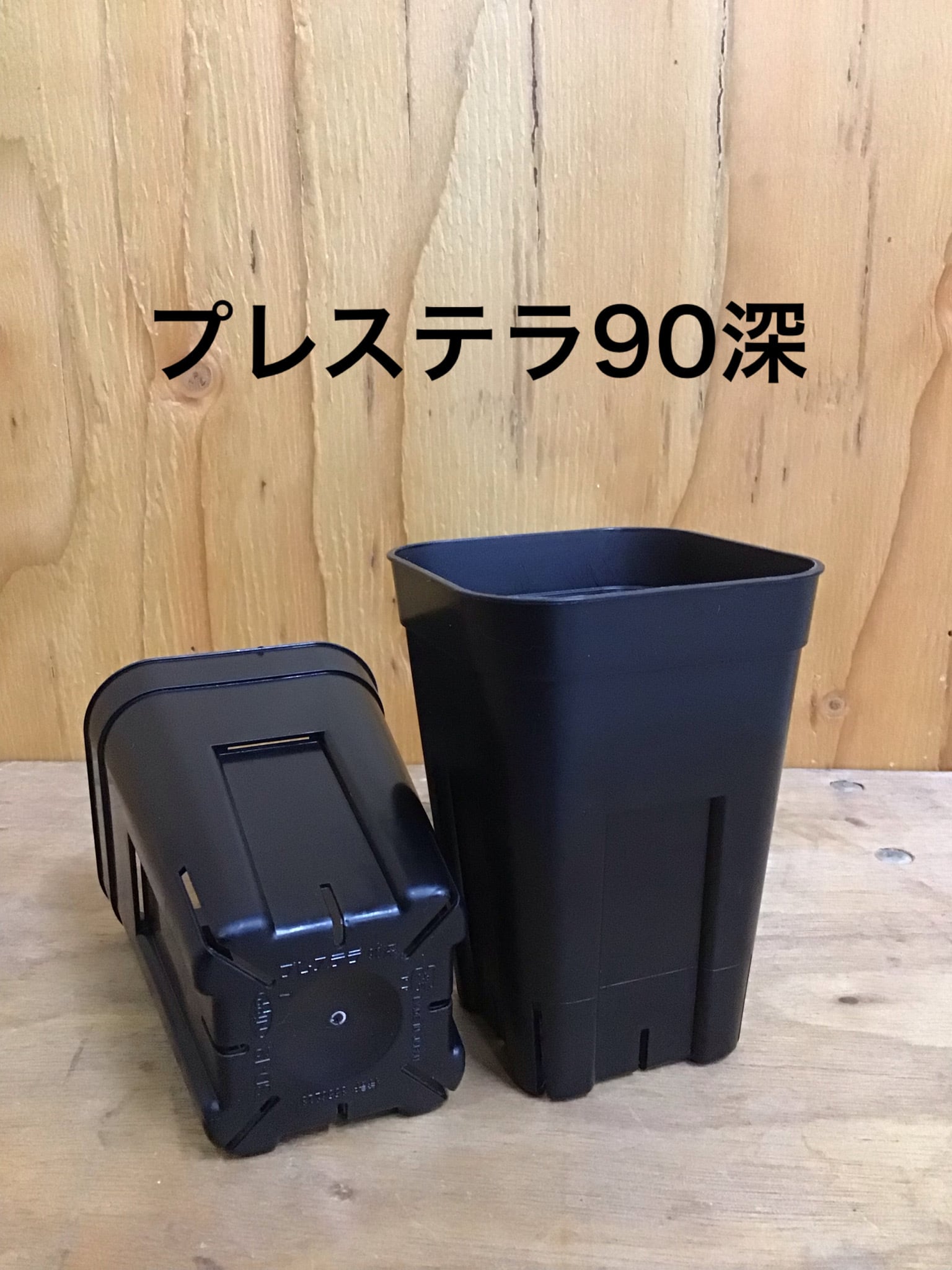プレステラ深鉢120 BK 24個 | tanekiti