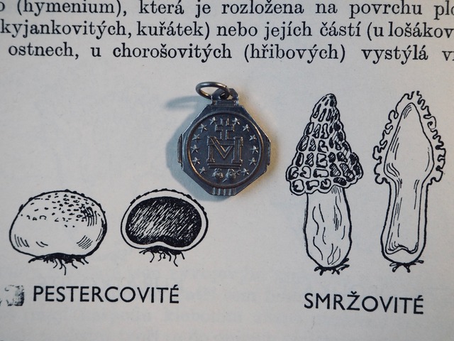 FRANCE Vintage rosary