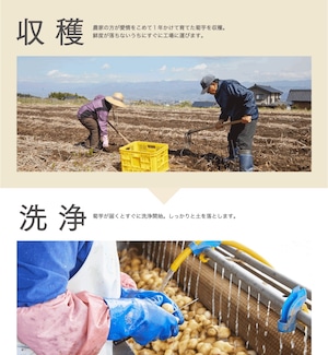 アウトレット 菊芋の極み〈家計応援価格〉1袋