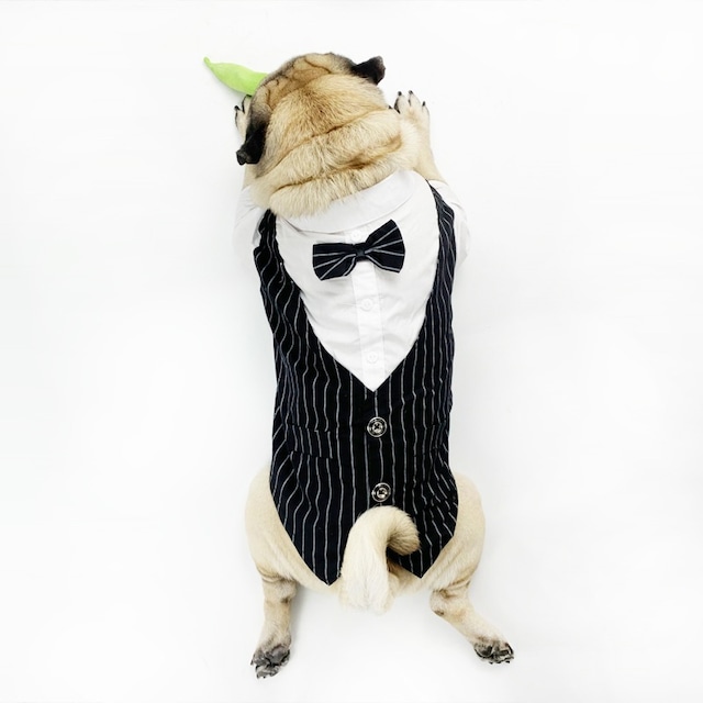 Dog Wear -formal shirt-　　dogw-24