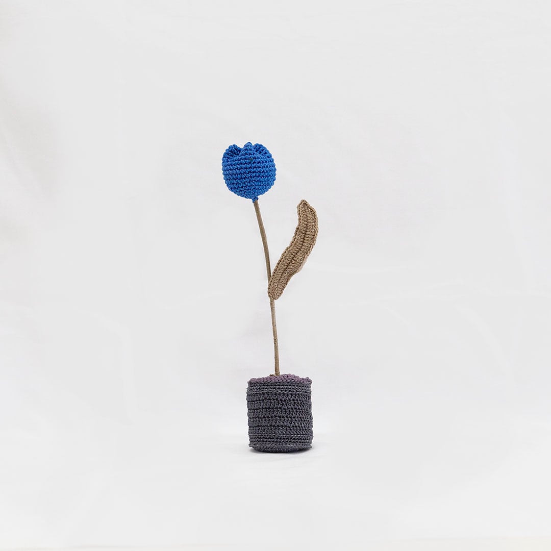 417e0f76782d534fc2c1234dd24875