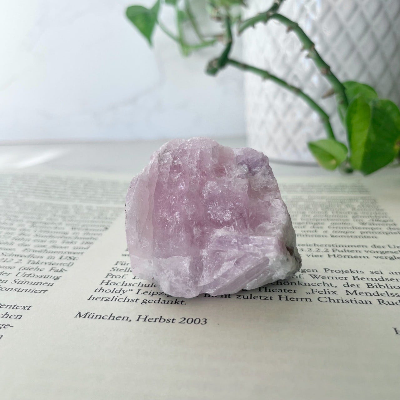 希少な青❗青・龍眼天珠(チベット老玉髄天珠) | Pay ID