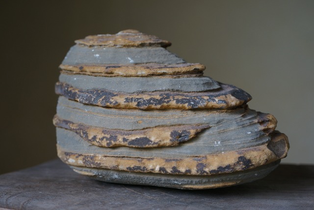 グランドキャニオン産堆積岩