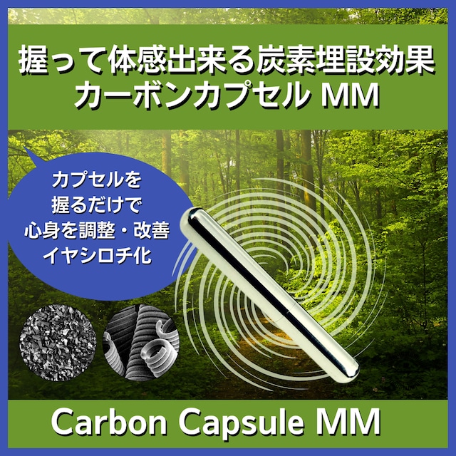 炭素埋設DO IT YOURSELF MNカーボンによる炭素埋設